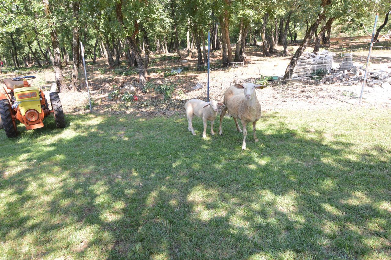 Hotel Natura Vilanija Dış mekan fotoğraf